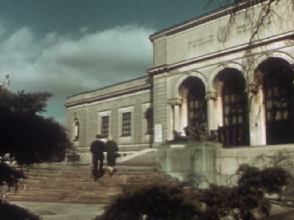 The Institute