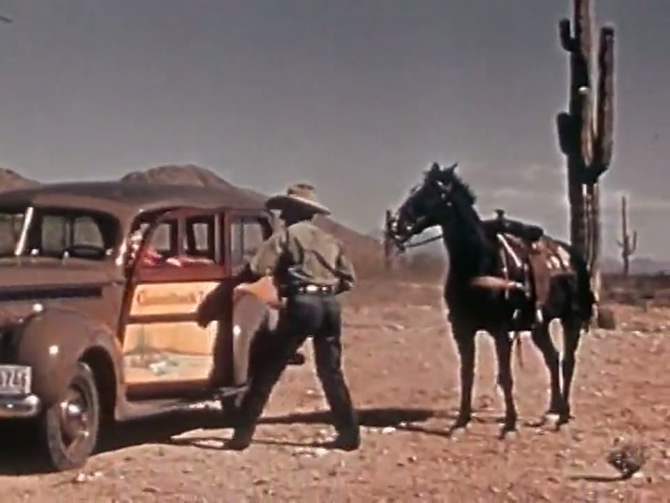 Desert Cowboy