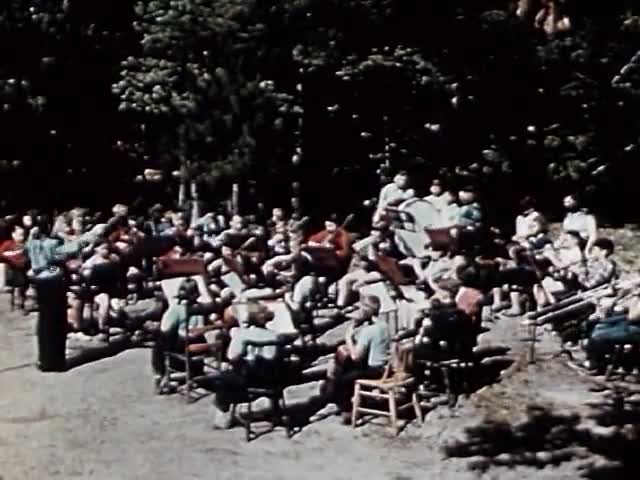 Orchestra in the Park