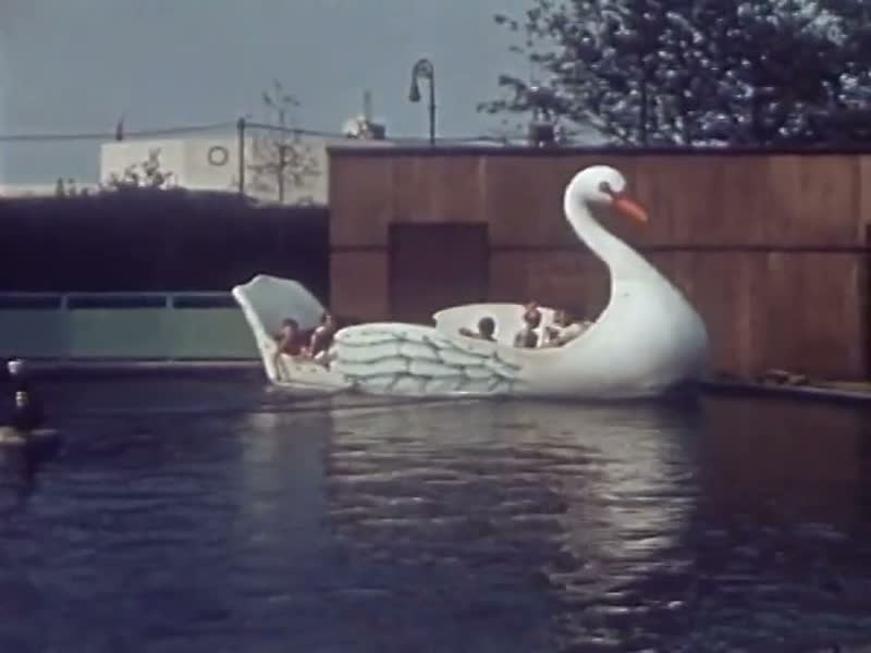 Swan Boat